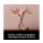 LEGO BOTANICALS 11510 Gałązki magnolii - 1489546 - zdjęcie 9